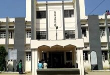 शिस्तभंगाचा ठपका ठेवत वनपाल, वनरक्षक निलंबित