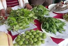 अहेरीत आज वनौषधीयुक्त रानभाजी महोत्सवाचे आयोजन