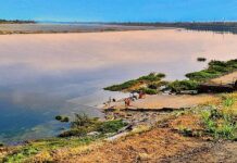 गोसीखुर्द धरणाची 17 दारं उघडून 4500 पर्यंत विसर्ग