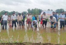 अन् क्लास-वन अधिकाऱ्यांनी केली शेतातील चिखलात रोवणी