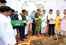 ‘गडचिरोलीला देशात सर्वाधिक हरित जिल्हा बनविण्याचा प्रयत्न’