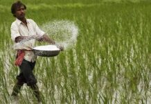 रासायनिक खताचा पुरवठा आता महसूल मंडळनिहाय