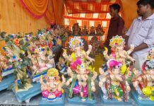 जिल्ह्यात 481 मंडळांमध्ये विराजमान होणार बाप्पा