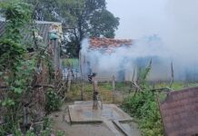 डेंग्युच्या तक्रारी व मदतीसाठी आता 24 तास नियंत्रण कक्ष