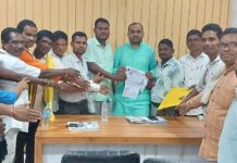 ग्रामसभांच्या पदाधिकाऱ्यांनी काँग्रेसकडे मांडले वीजेचे गाऱ्हाणे