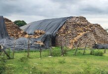 भरडाईअभावी शिल्लक धानाच्या तपासणीसाठी केंद्राची चमू येणार