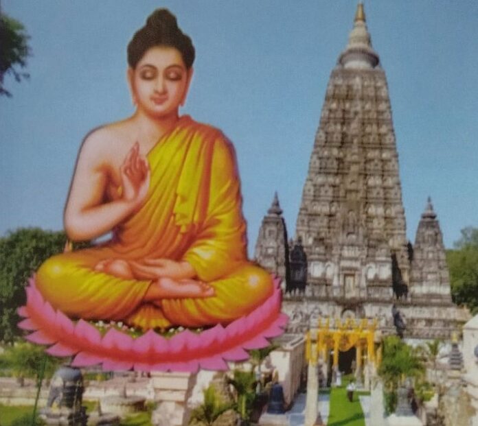 WhatsApp Image 2025-09-15 at 16.11.22