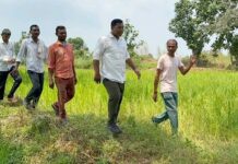 पिंपळटोल्यात हत्तींनी केलेल्या नुकसानीची आ.नरोटेंकडून पाहणी