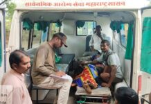 76 वर्षीय वृद्धाने काठीने झुंजत चक्क वाघाला पळवून लावले