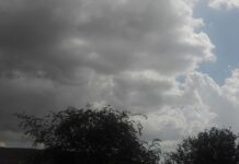 पाच दिवस राहणार ढगाळ वातावरण, दोन दिवस पाऊस