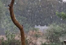 अखेर निरोपाचा मुहूर्त ठरला, 8 ऑक्टोबरला मान्सून जाणार