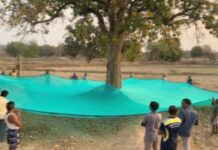 चक्क 90 टक्के अनुदानावर घ्या विविध कृषी योजनांचा लाभ