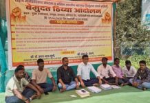 वनविभागात रोहयोच्या कामातील भ्रष्टाचारप्रकरणी कारवाई करा