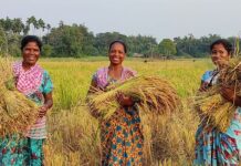 19 आदिवासी गावांत नागरिकांचे उत्पन्न 50 टक्क्यांनी वाढविणार