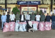 कुरखेडा तालुक्यात गांजाची शेती, 1 कोटी 19 लाखांचा माल जप्त