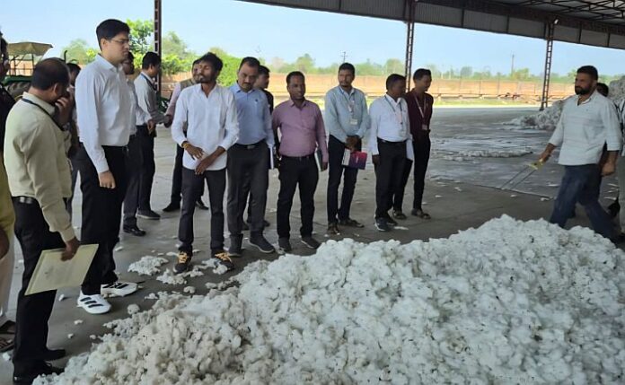 WhatsApp Image 2025-11-19 at 16.31.05