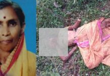 आरमोरी वनपरिक्षेत्रात पुन्हा एका महिलेचा श्वापदाच्या हल्ल्यात बळी