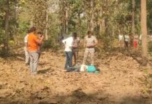 आलापल्लीजवळच्या जंगलात इसमाची रहस्यमय निर्घृण हत्या