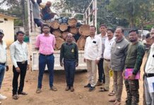 घोटच्या जंगलातून सुरू होती छत्तीसगडमध्ये सागवान तस्करी