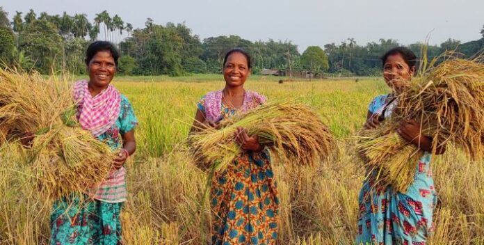 xr:d:DAFjz3_gicg:3,j:47812504280,t:23052407