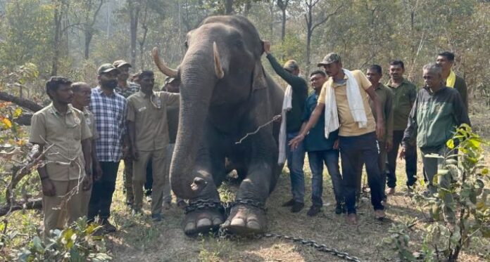 WhatsApp Image 2026-02-27 at 08.39.52