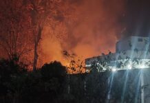 चातगावच्या जंगलात भडकली आग, गावालगत आगीच्या ज्वाळा