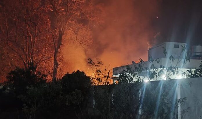 WhatsApp Image 2026-03-30 at 20.29.58