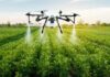 ड्रोनच्या माध्यमातून पिकांवर होणार कीटकनाशकांची फवारणी