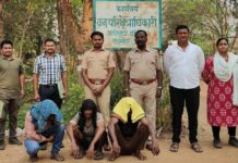 जंगलातील 19 सागवान झाडांची कटाई करणाऱ्या तिघांना अटक