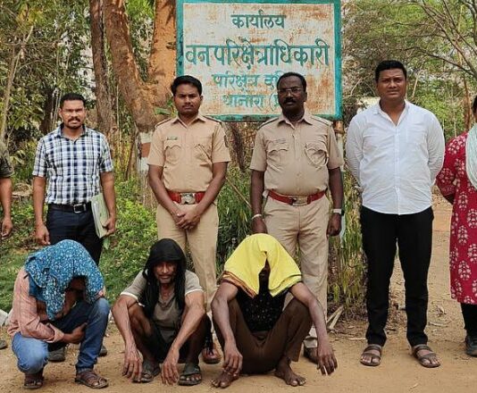 जंगलातील 19 सागवान झाडांची कटाई करणाऱ्या तिघांना अटक