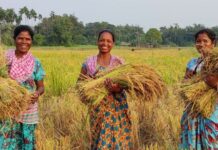 एकात्मिक शेतीसाठी पुस्तोला क्लस्टरमध्ये 4.47 कोटींचा प्रकल्प