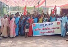 नावाला अर्धवेळ, पण कामाला पूर्णवेळ, स्री परिचरांची व्यथा