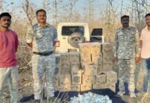 3.44 लाखांची दारू सोडून चालकाने काढला जंगलात पळ