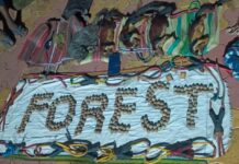 शेकरूंसह वन्यजीवांची शिकार करणाऱ्यांकडून हत्यार, वाहने जप्त