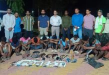 राज्य प्राणी शेकरूंची शिकार करणाऱ्या 12 जणांना अटक