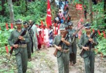 चार दशकांत माओवाद्यांनी घेतले 559 निष्पाप नागरिकांचे बळी