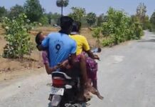घरगुती कारणातून विष घेतलेल्या महिलेचा उपचारादरम्यान मृत्यू