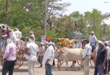 भेंडाळा भागातील शेतकऱ्यांचा बैलबंड्यांसह धडक मोर्चा