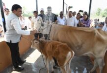 अमिर्झात सुरू झाले जनावरांचे जिल्ह्यातील पहिले स्नानगृह