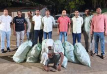 परसवाडीत पिकवली गांजाची शेती, 27 लाखांचा माल जप्त