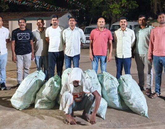 परसवाडीत पिकवली गांजाची शेती, 27 लाखांचा माल जप्त