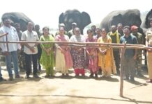 हत्ती कॅम्पला येणाऱ्या पर्यटकांना मिळणार आता थंडगार पाणी