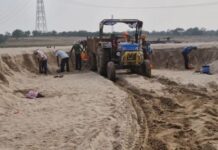 मंडळ अधिकारी, तलाठ्यानंतर तहसीलदारांचीही विकेट पडणार