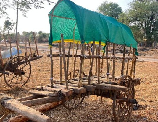 जमिनी वाचविण्यासाठी आजपासून जिल्हाधिकारी कार्यालयावर ठिय्या