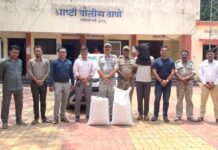 जिल्हा भरारी पथकाने पकडले प्रतिबंधित बीटी कापूस बियाणे