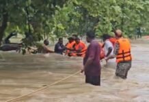 अतिधाडस वनअधिकाऱ्याच्या अंगलट, कारसह पुराच्या पाण्यात ओढल्या गेले