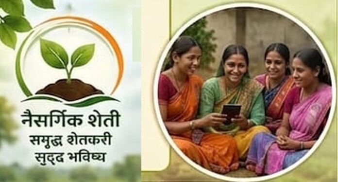 WhatsApp Image 2026-07-23 at 19.23.18