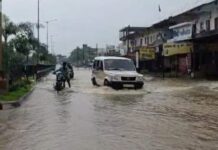 धो-धो पावसामुळे गडचिरोलीच्या अनेक सखल भागात साचले पाणी