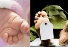 माता व गर्भातील बाळाच्या मृत्यू प्रकरणी चौकशी समिती गठीत