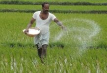 खरीपासाठी खतांचा मुबलक साठा; शेतकऱ्यांनी गरजेनुसार खरेदी करावी
